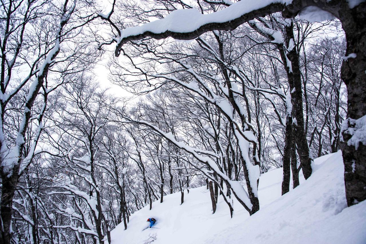 Morino Lodge - Myōkō Dış mekan fotoğraf